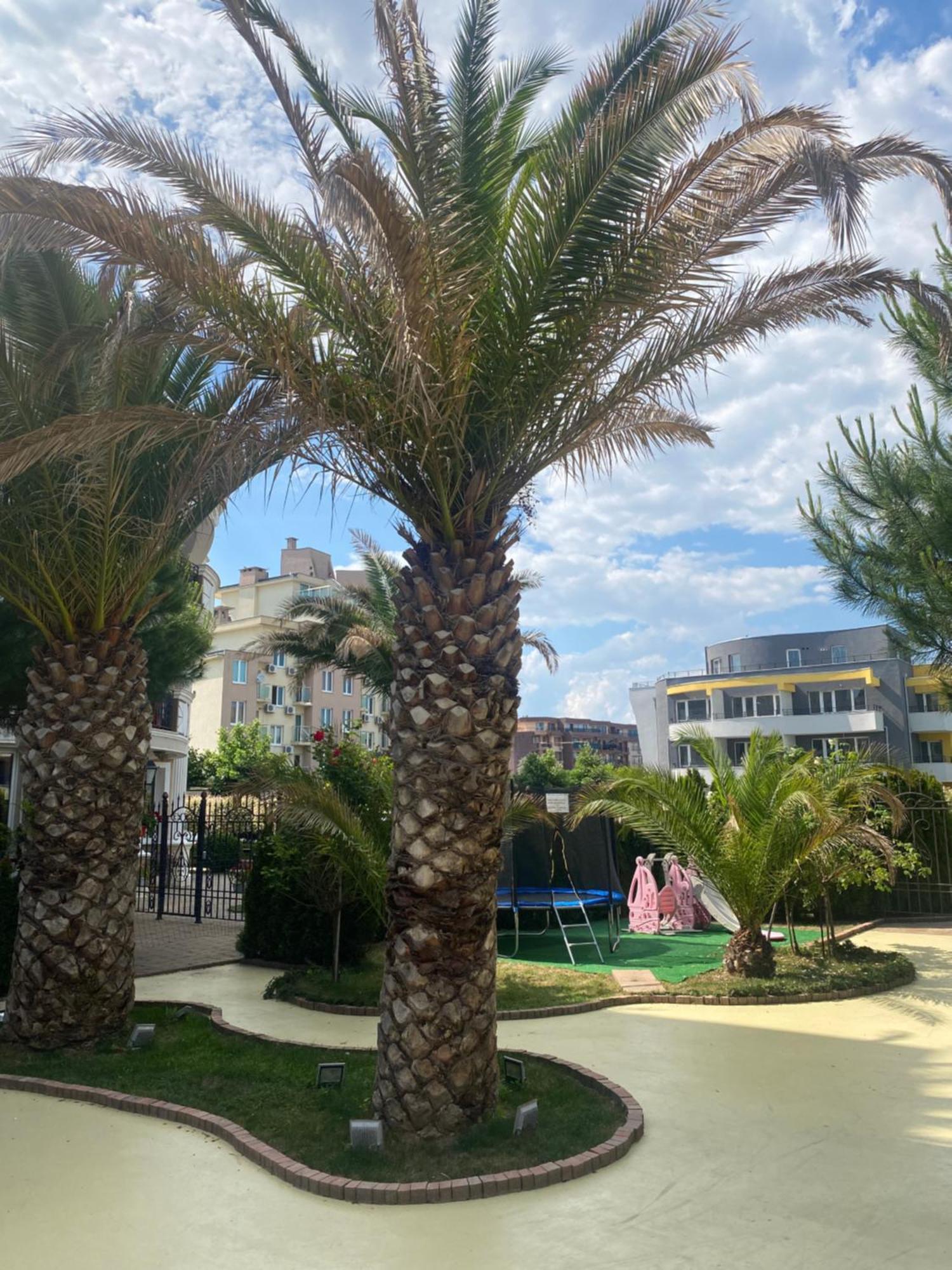 Messembria B504 Studio Sunny Beach Exterior foto